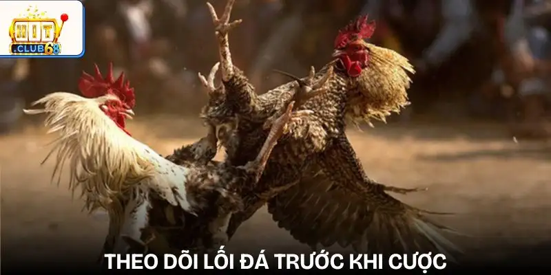 cach nhan biet ga keo tren keo duoi quan sat loi da cua chien ke