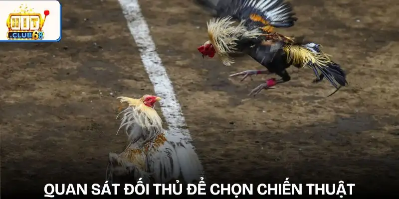 nhung yeu to anh huong den ket qua da ga theo doi doi thu de xay dung chien thuat hop ly