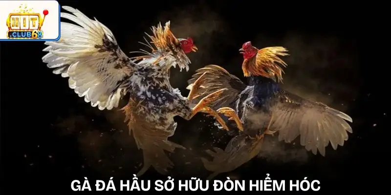 phan tich loi da ga de du doan ket qua ga da hau