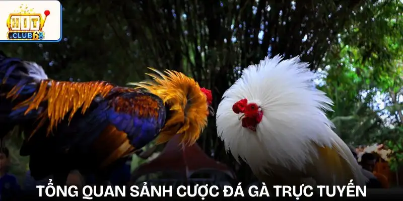 sanh cuoc da ga tong quan